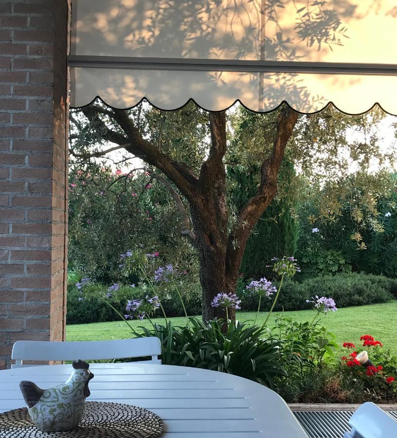 Villa Archi B&B 산피에트로인카리아노 외부 사진